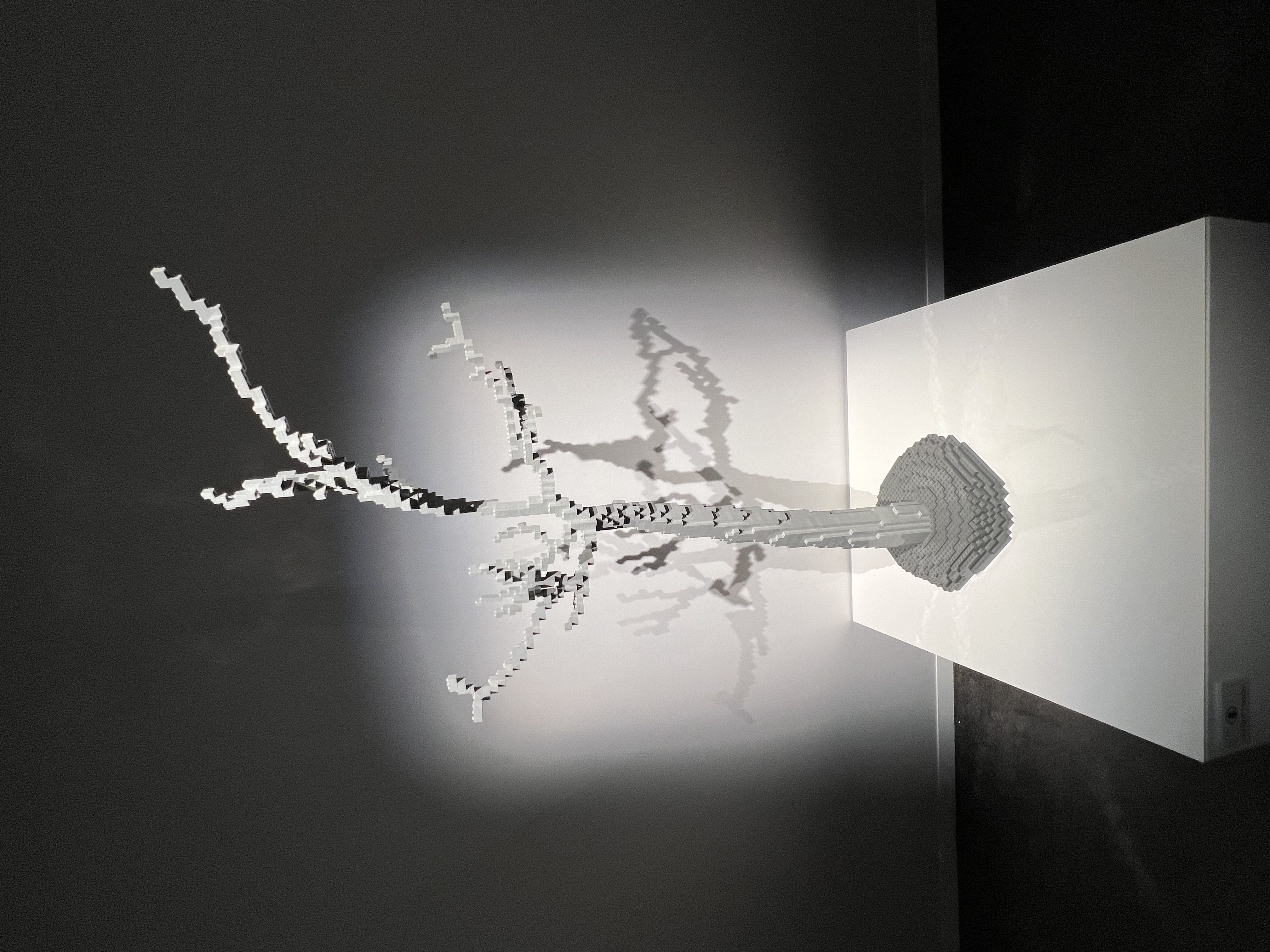 ./2023/07 - Art of the Brick/IMG_9584.JPG